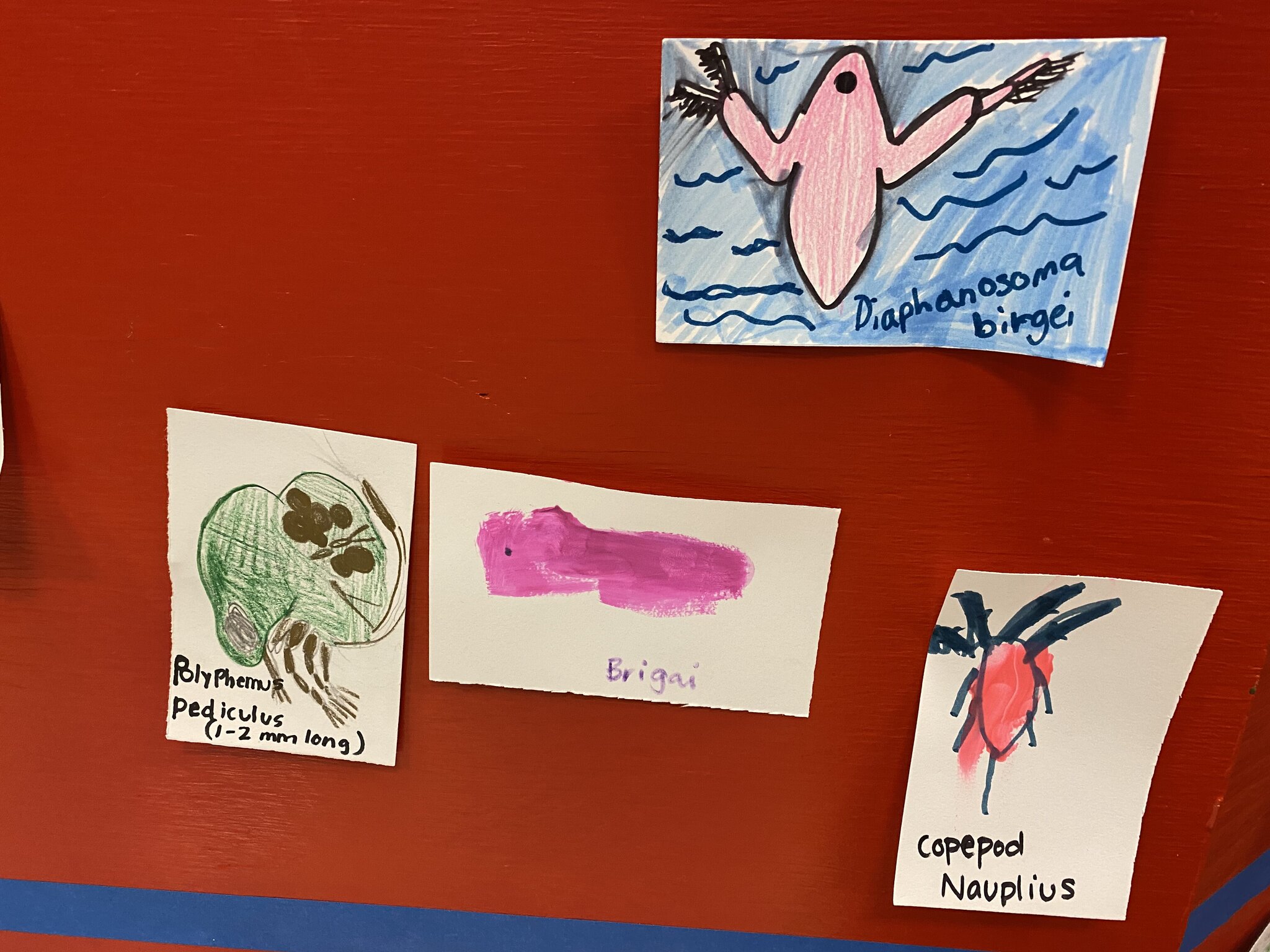 water species paintings from STEAM Makerfest 2020