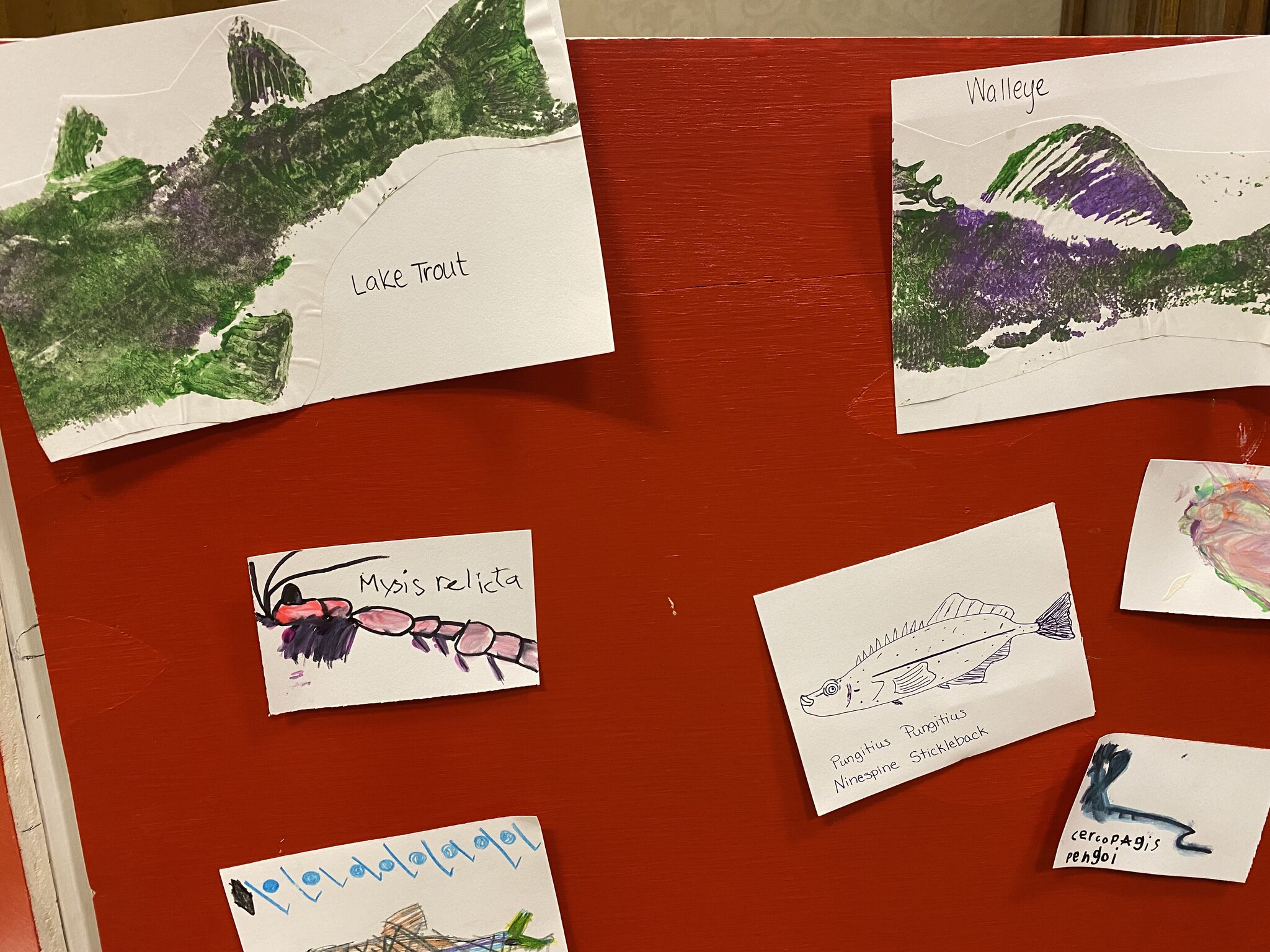 Fish species paintings from STEAM Makerfest 2020